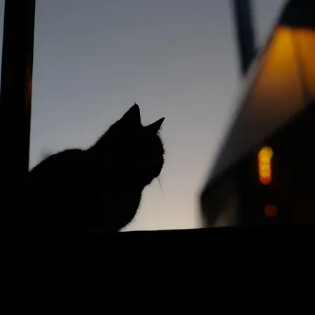 Ferienhaus Gm Eco Bubble