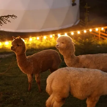 Ferienhaus Gm Eco Bubble Jablunyzja