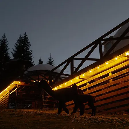 Gm Eco Bubble Holiday home