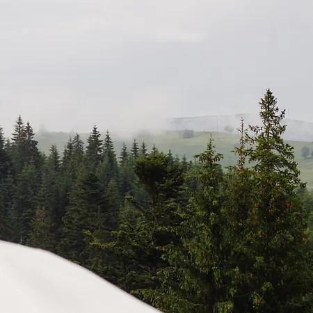 Gm Eco Bubble Ferienhaus