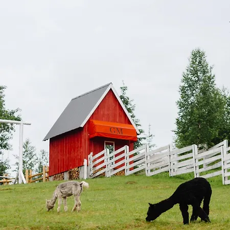 Gm Eco Bubble Ferienhaus Jablunyzja