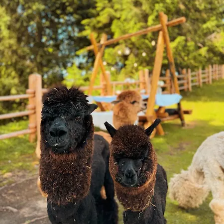 Ferienhaus Gm Eco Bubble