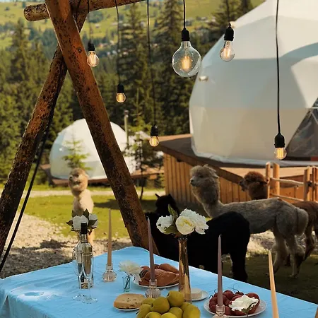 Gm Eco Bubble Hébergement de vacances Yablunytsya