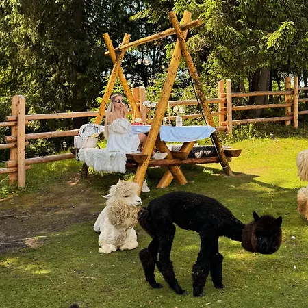 Ferienhaus Gm Eco Bubble Jablunyzja