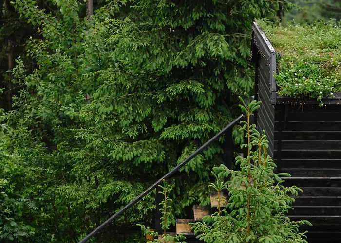 Gm Eco Bubble